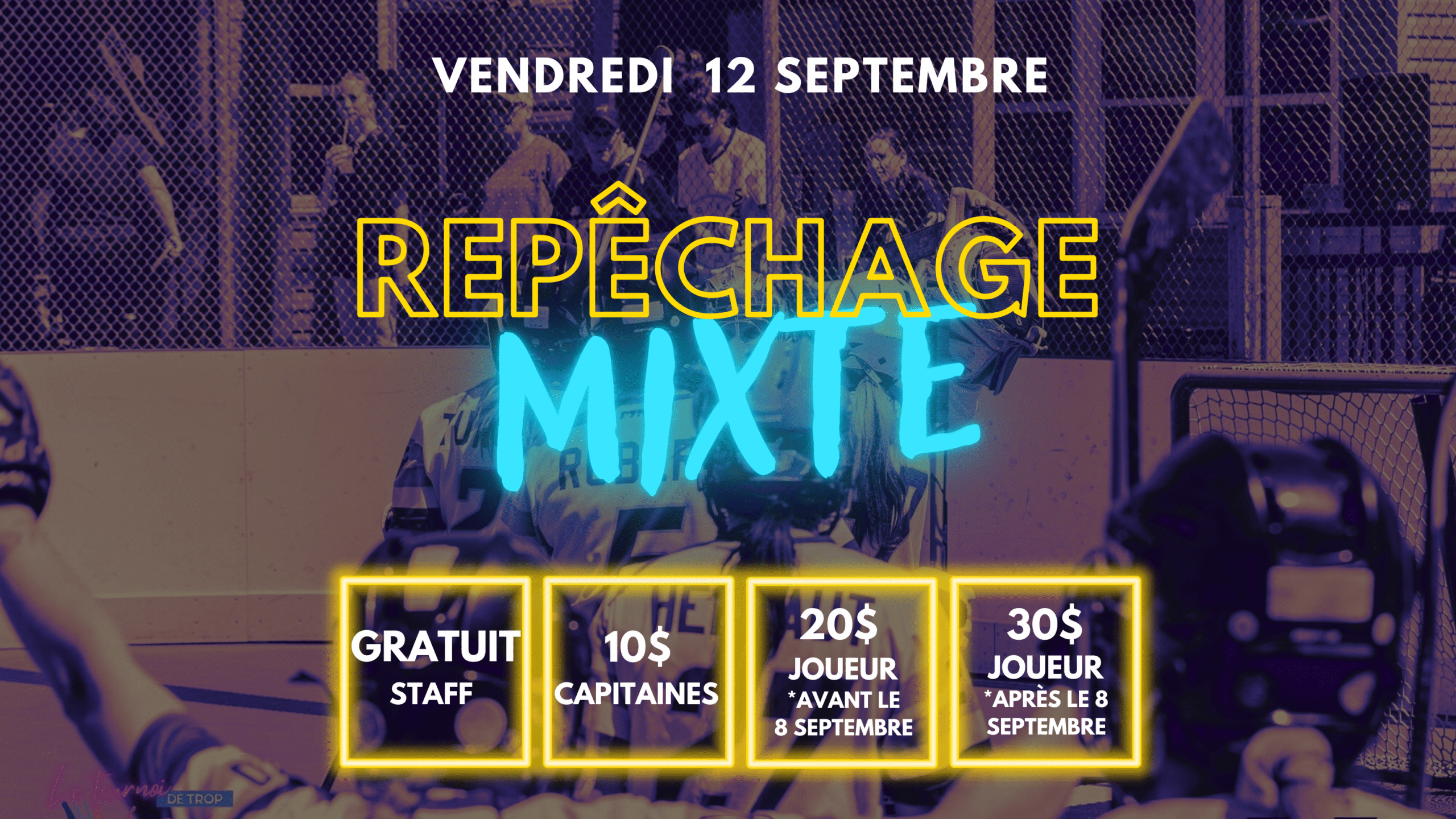Reel draft vip (13 x 19 po).pdf (présentation)